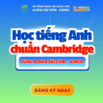 uu-dai-hoc-phi-cac-khoa-hoc-tieng-anh-tai-he-thong-ais